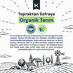 KarmaLife Bio Organik Seylon Toz Tarçın (40 gr) - 4